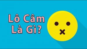 Lô câm